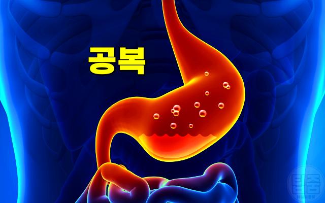 공복에 먹으면 좋은 음식,건강,팁줌