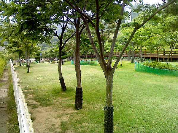 창원 진해 풍호파크골프장 소개