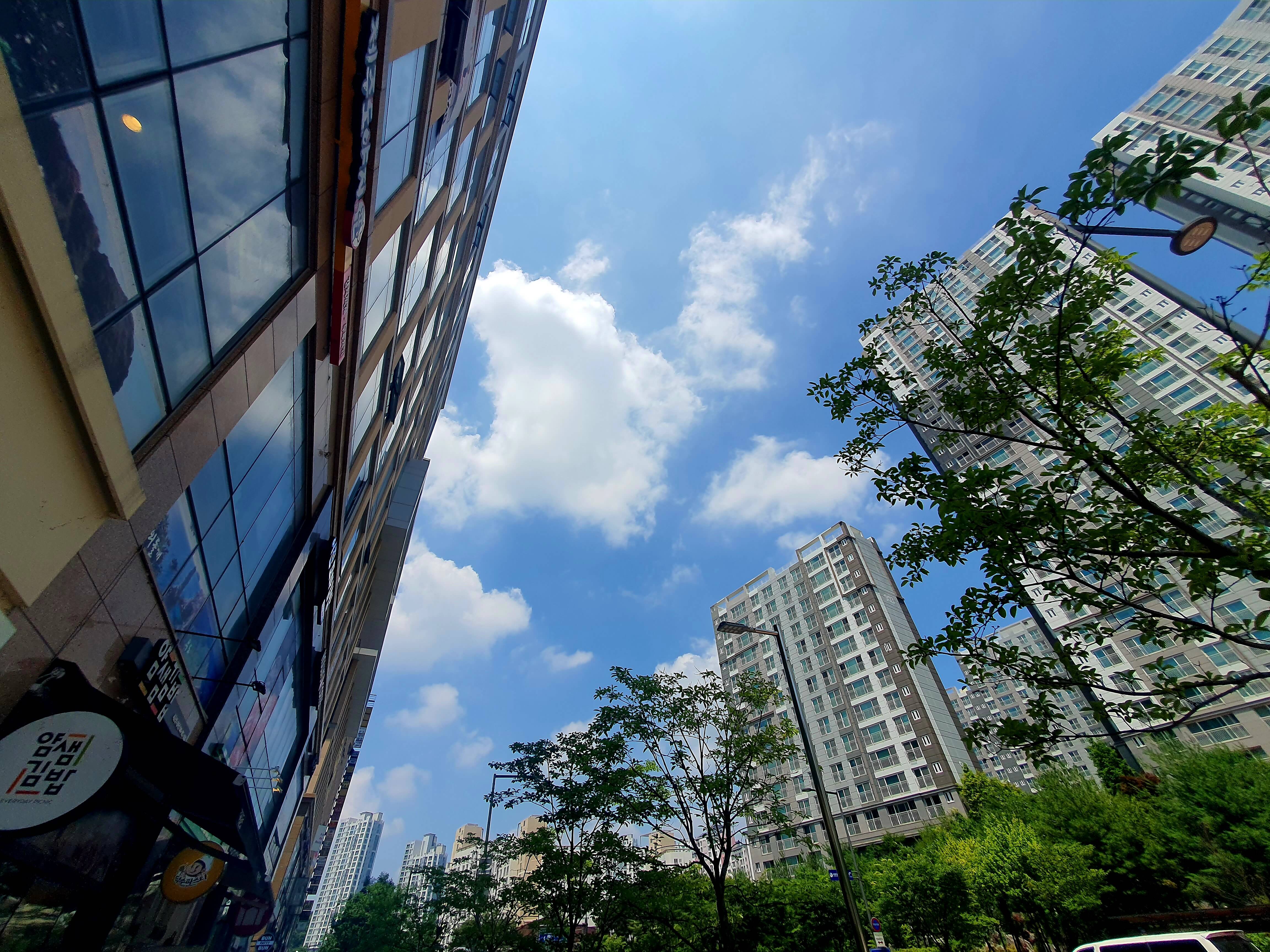 경양카츠 세종정부청사점