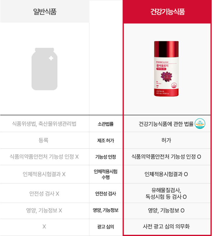 다이어트 보조제 순위 TOP 10