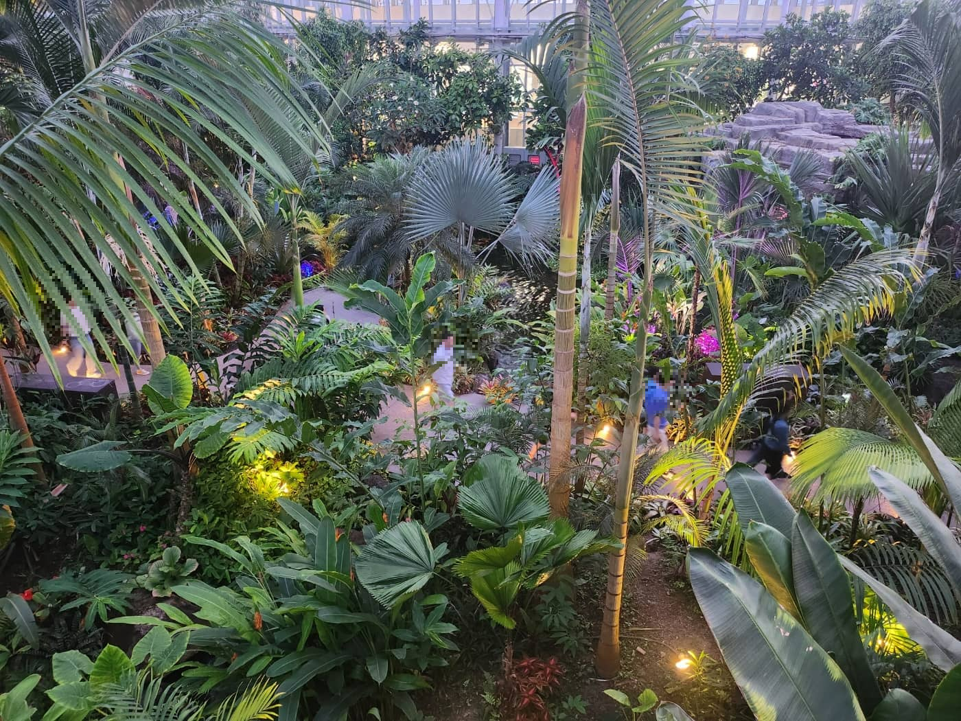 국립세종수목원 야간개장