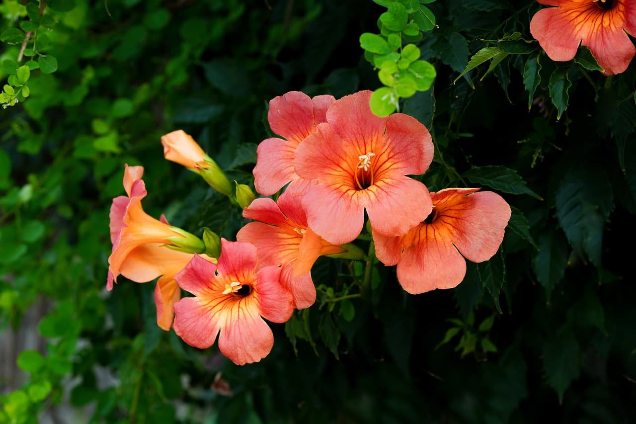 전통 건축 복원 전문가 되는 법