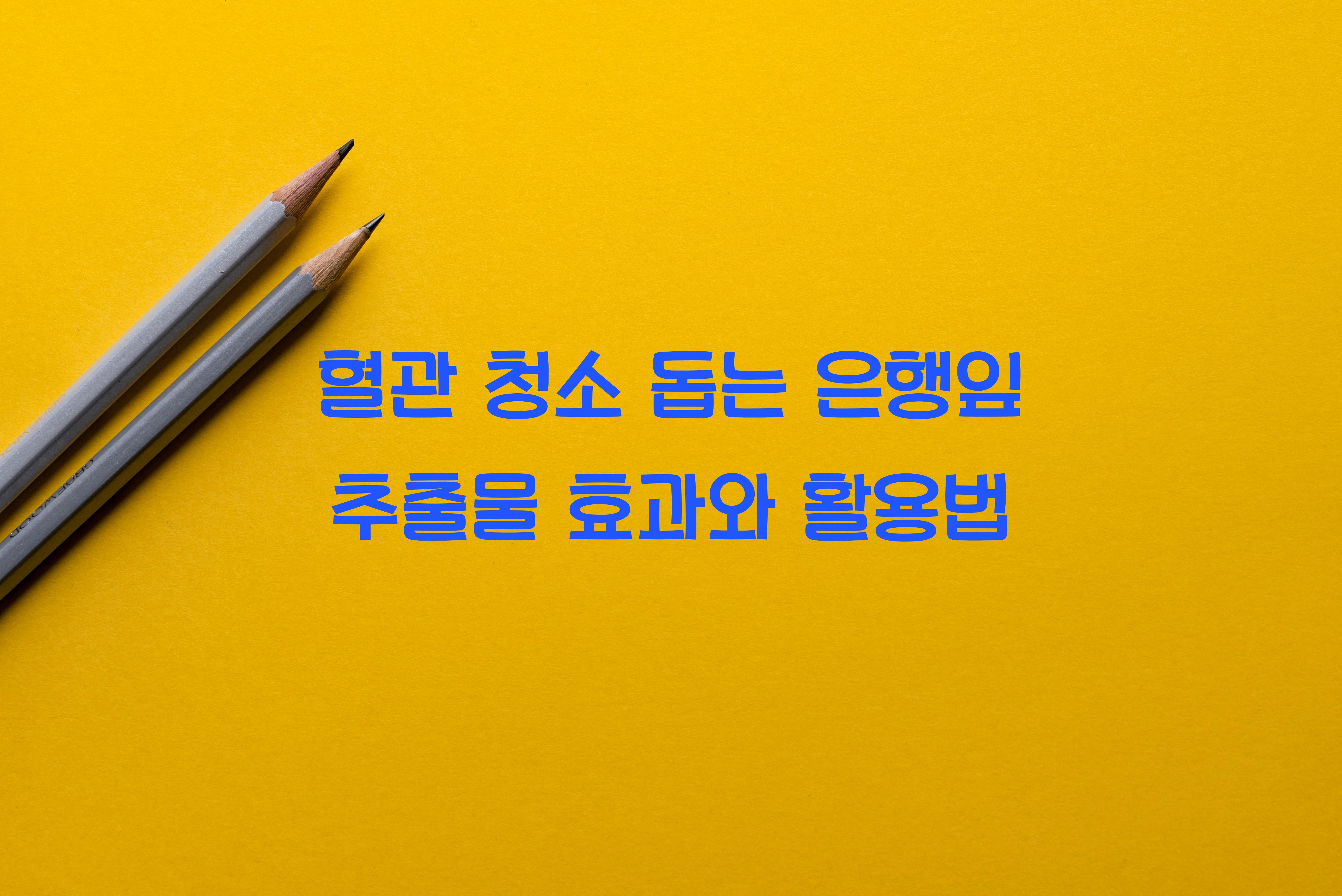 혈관 청소 돕는 은행잎 추출물