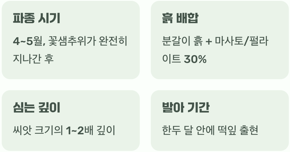 드디어, 흙과의 첫 만남