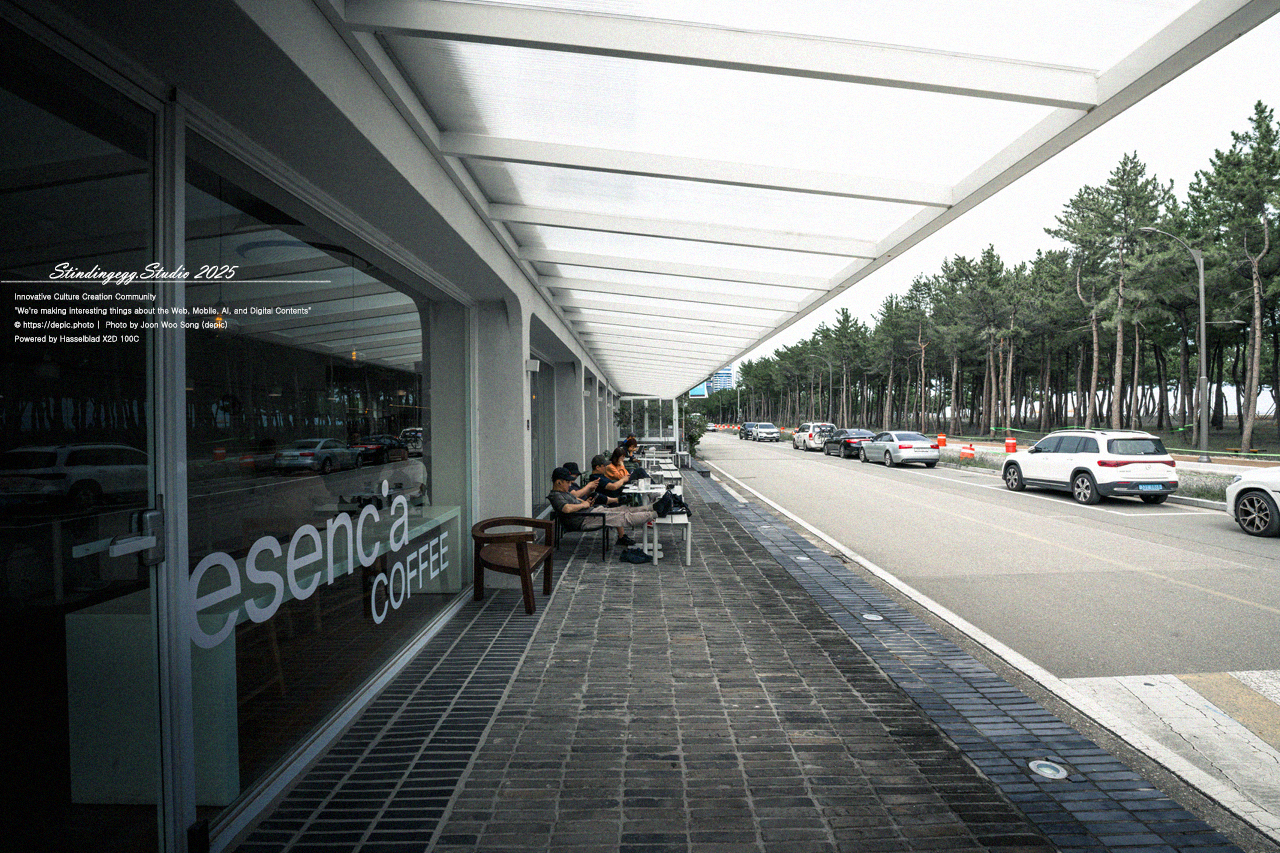 #양양 #낙산 #낙산해변 #해변 #바다 #카페