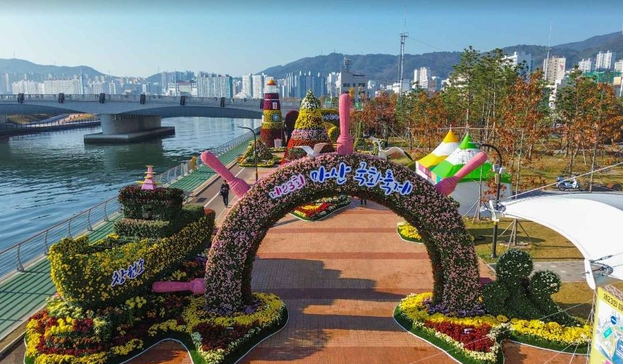 2025 마산가고파국화축제 관련 이미지