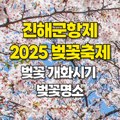 진해군항제 벚꽃축제 2025 벚꽃 개화시기 벚꽃명소 카드뉴스