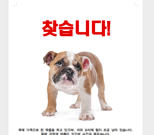 hwp 파일 열기 뷰어 사이트