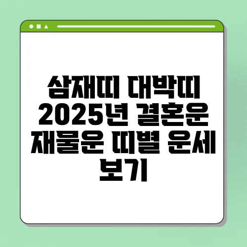 삼재띠 대박띠 2025년 결혼운 재물운 띠별 운세 보기