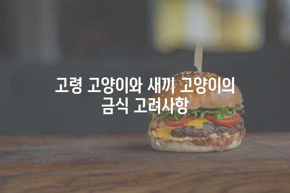 고령 고양이와 새끼 고양이의 금식 고려사항