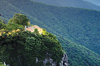 추석 연휴 숙박 할인 쿠폰