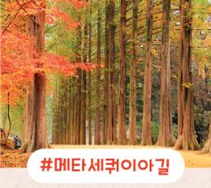 남이섬