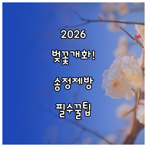 서울숲 송정제방길 벚꽃 개화 시기 및..