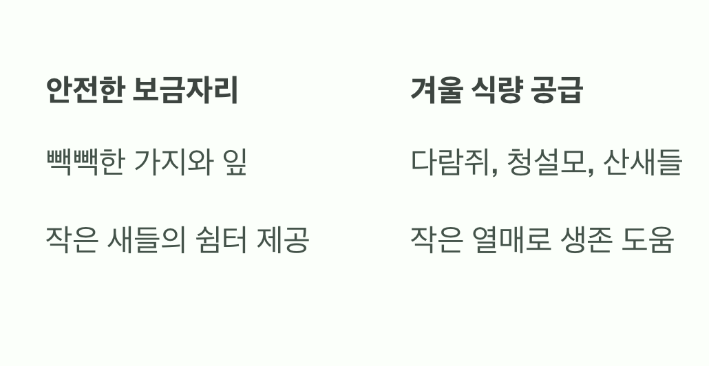 숲속 동물들의 든든한 친구