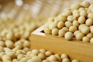 유방암에 좋은 음식