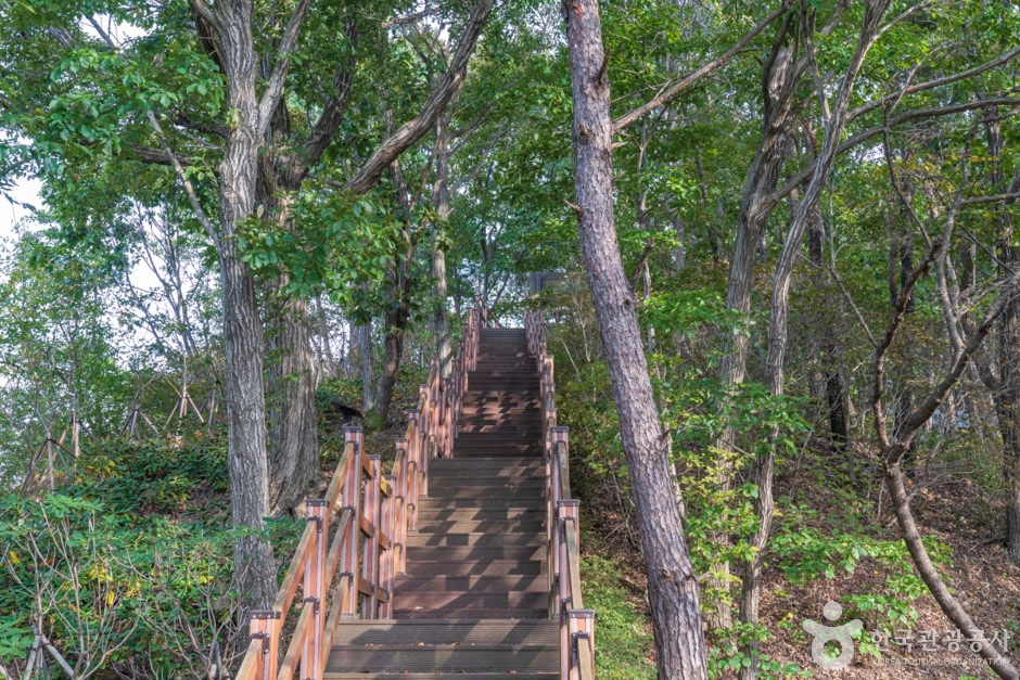 청양 가볼만한곳 베스트10