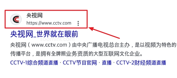 푸바오 중국 실시간 영상, 최근 소식