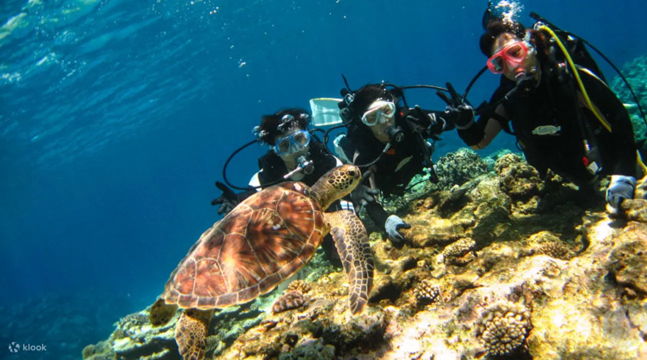 okinawa_kerama_diving