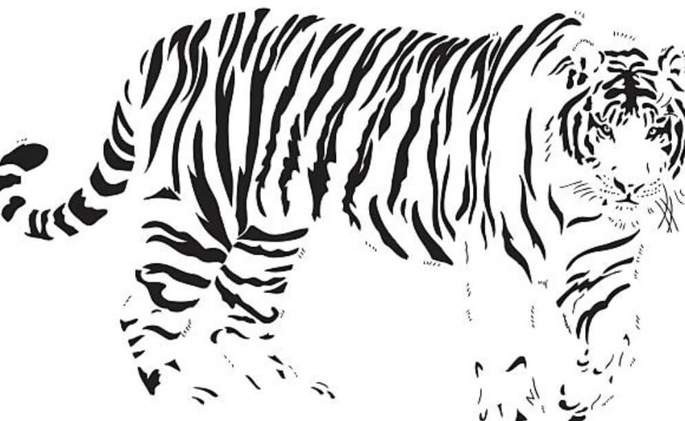 닭띠호랑이띠궁합