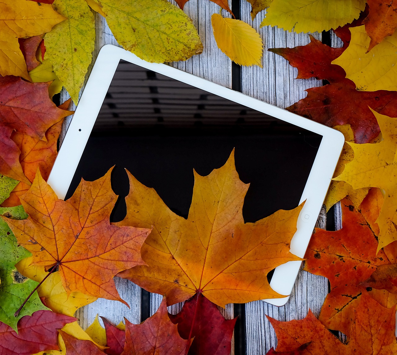 사랑온난방비 신청