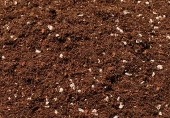 상토 선택 화분심기 초보기준 비료섞는법 안전 가이드_8