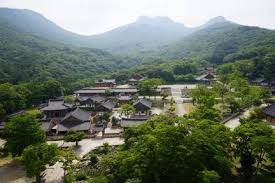 대흥사 탐방기 (해남 두륜산, 세계유산 산사, 의병과 선불교)