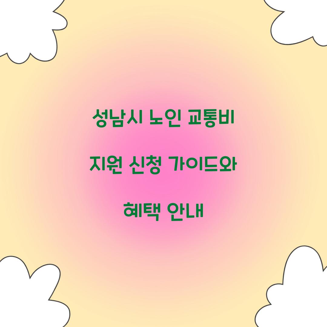 성남시 노인 교통비 지원