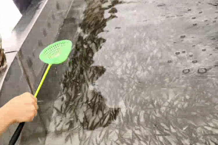 양주 눈꽃축제 눈썰매장