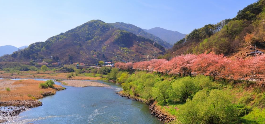 곡성의 섬진강변