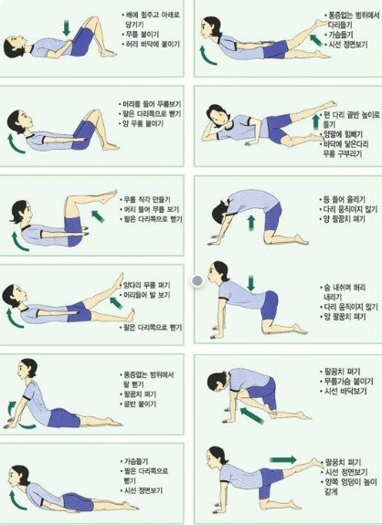 허리 디스크 강화 운동 관련 이미지