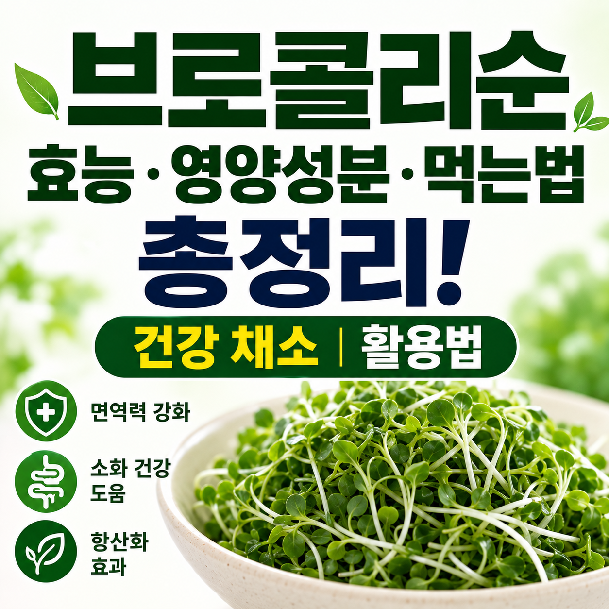 브로콜리순 효능