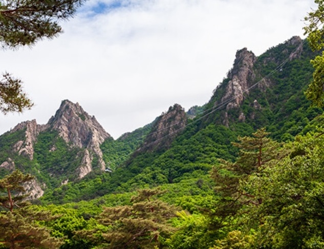 한국기행-설악산-토봉꿀
