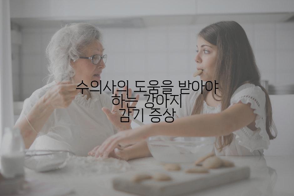 수의사의 도움을 받아야 하는 강아지 감기 증상