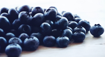 블루베리이미지