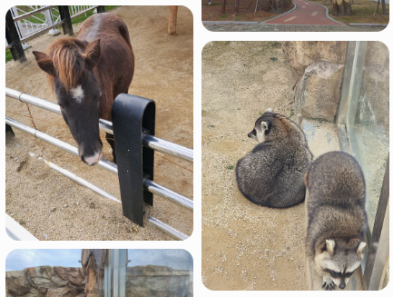 생생정보통 오늘방송(3월 5일) 맛집 바다마실,울진 왕피천 케이블카,울진왕피천공원,울진왕피천공원동물농장,울진금강송군락지