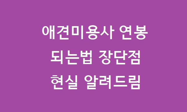 애견미용사 연봉