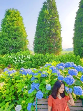 7월 국내 가족여행지 추천 베스트 코스 완벽 가이드_18