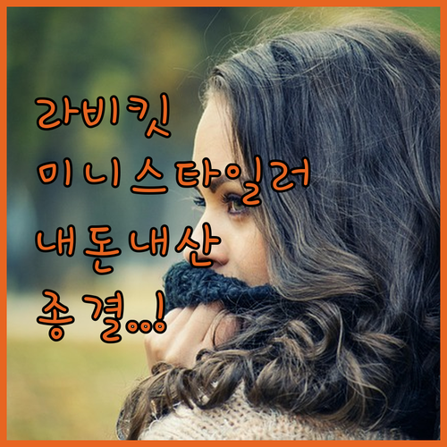 라비킷 스타일킷 미니스타일러 내돈내산..