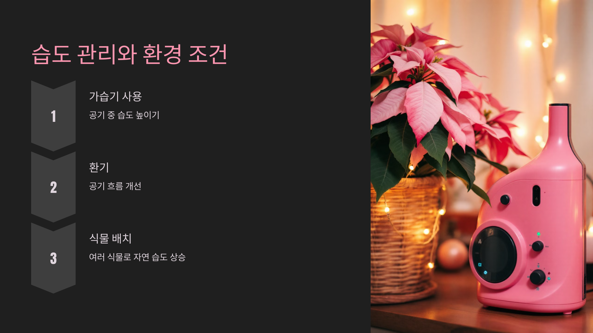 습도 관리와 환경 조건