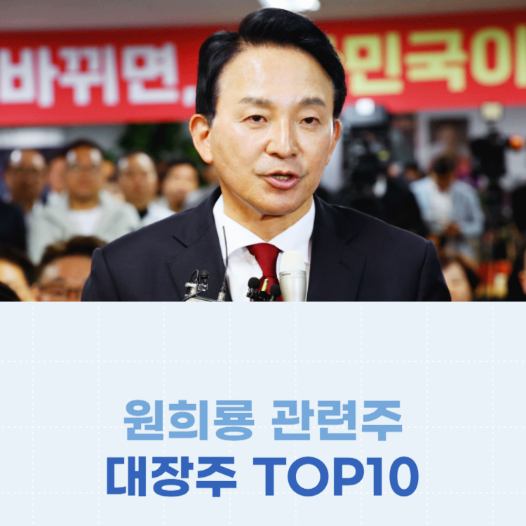 원희룡 관련주 대장주 테마주 주식 TOP10