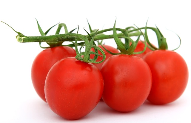 토마토 효능 및 부작용 알아보기