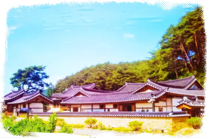 생방송오늘저녁 경북 안동 종가집 도산서원 근처 고택 체험 한옥 펜션 스테이 안동 여행 숙박 예약