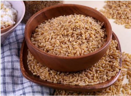 골드-카무트-효소-가격