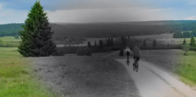 황반변성 초기증상, 치료법, 예방관리 총 정리 (2025 최신)