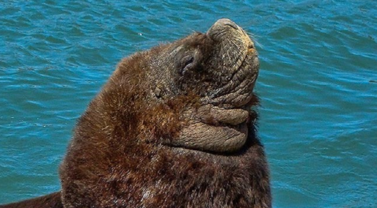 사천 아쿠아리움