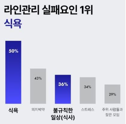 나비정-효과