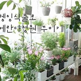 베란다 정리 아이디어