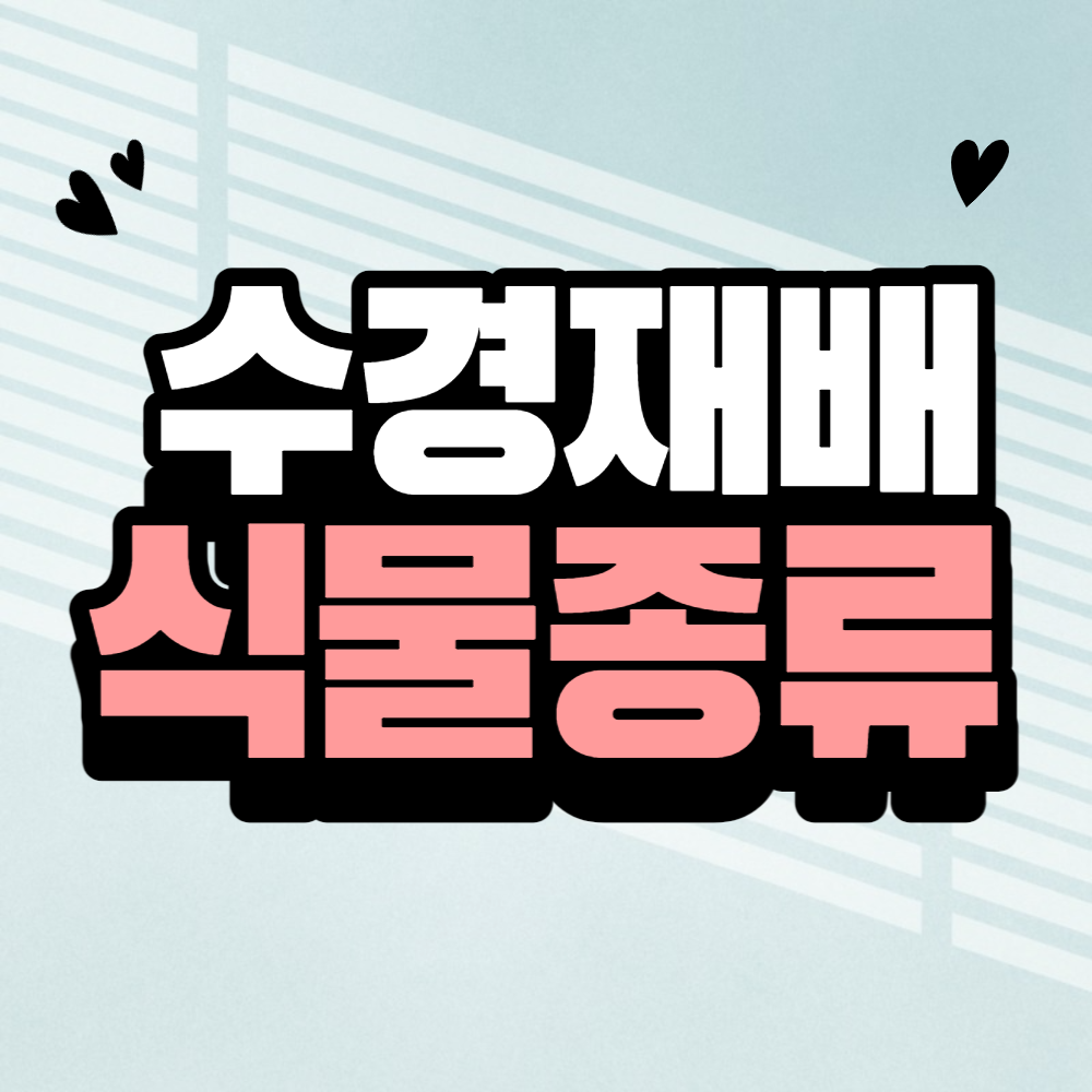 수경재배 식물 종류