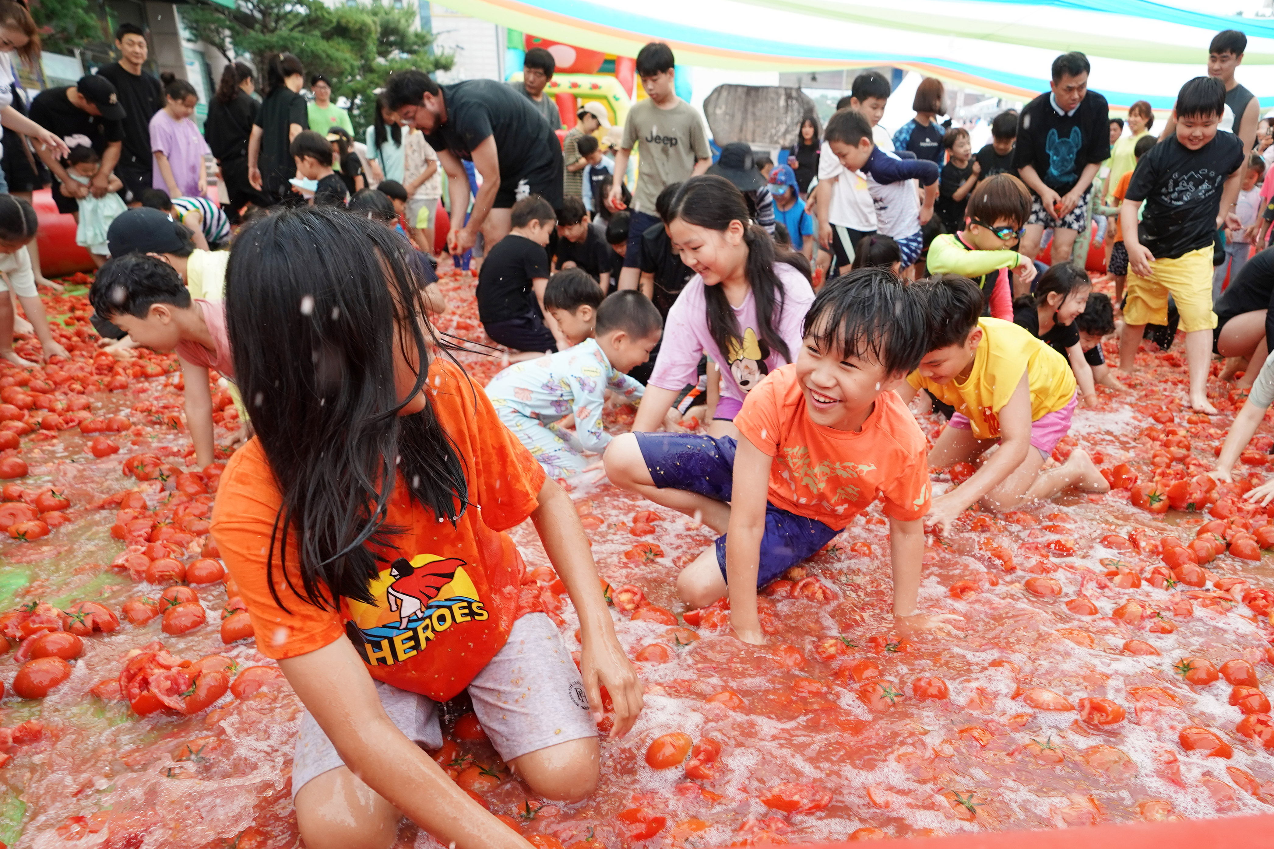 퇴촌토마토거리축제 관련 사진