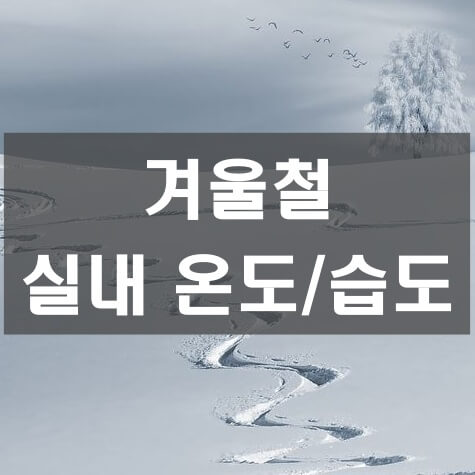 겨울철 실내 온도